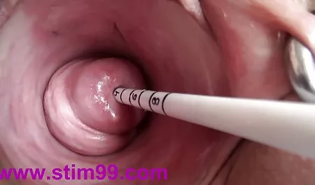 Exotine坐在她的屁股上球