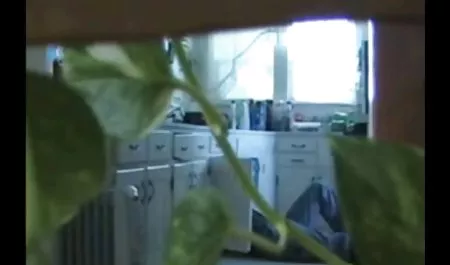 黑头发的美女流行肛门